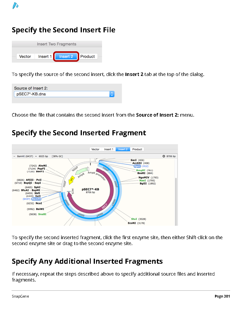 ../_images/SnapGene_页面_381.png