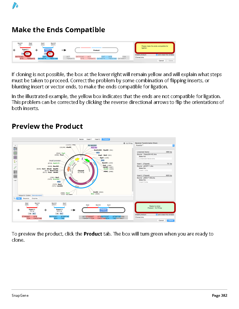 ../_images/SnapGene_页面_382.png
