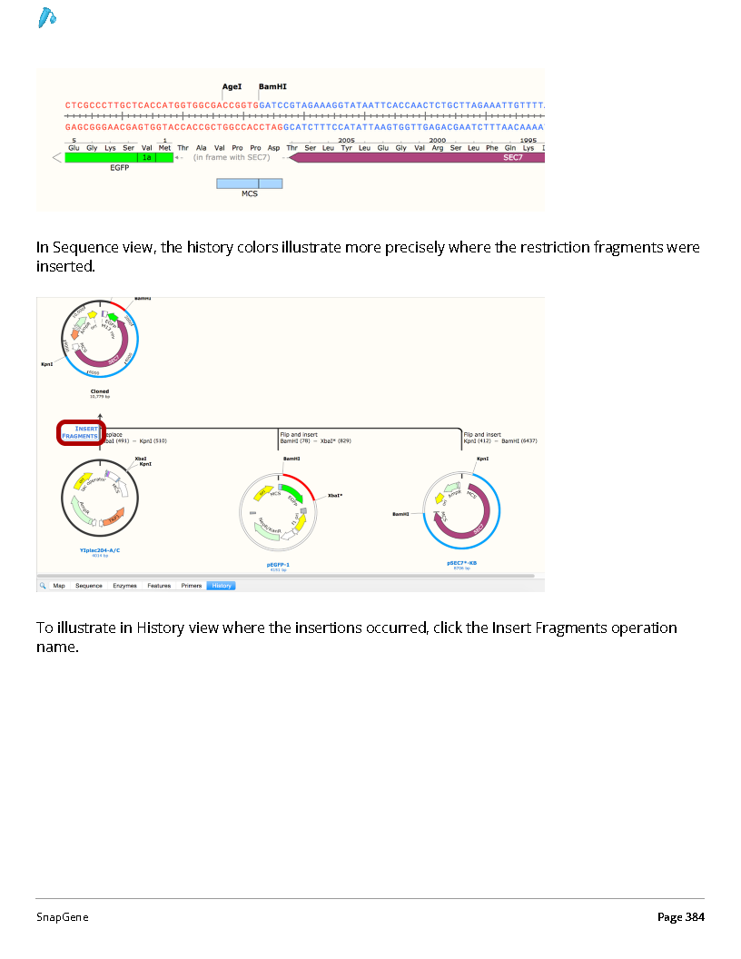 ../_images/SnapGene_页面_384.png