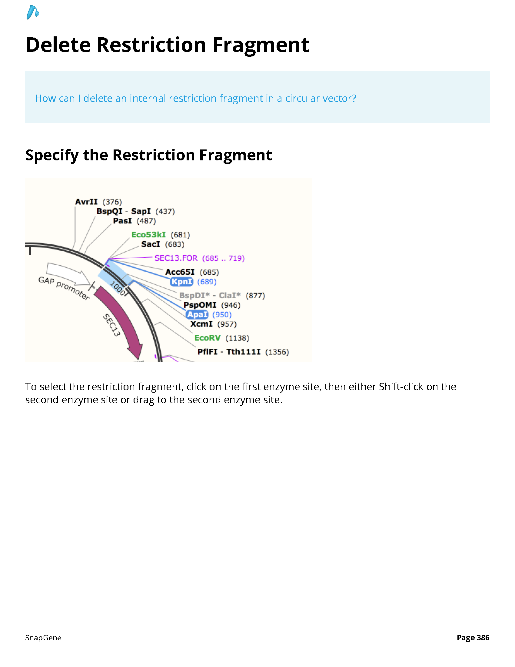 ../_images/SnapGene_页面_386.png