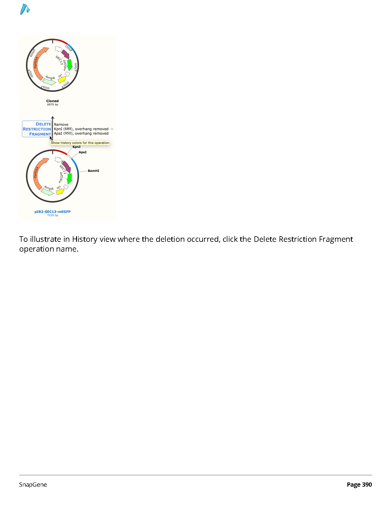 ../_images/SnapGene_页面_390.png