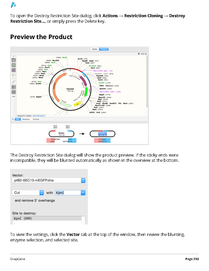 ../_images/SnapGene_页面_392.png