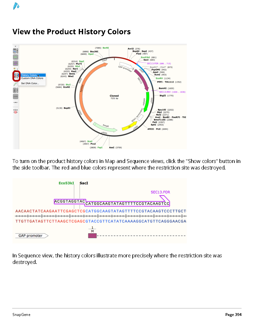 ../_images/SnapGene_页面_394.png