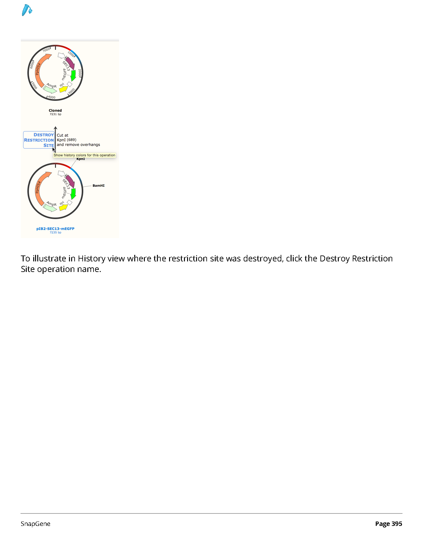 ../_images/SnapGene_页面_395.png