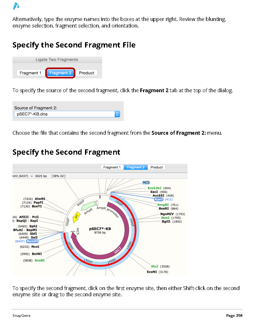 ../_images/SnapGene_页面_398.png