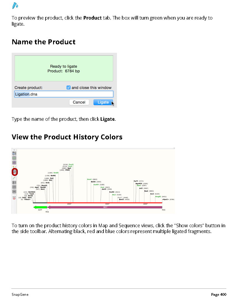 ../_images/SnapGene_页面_400.png