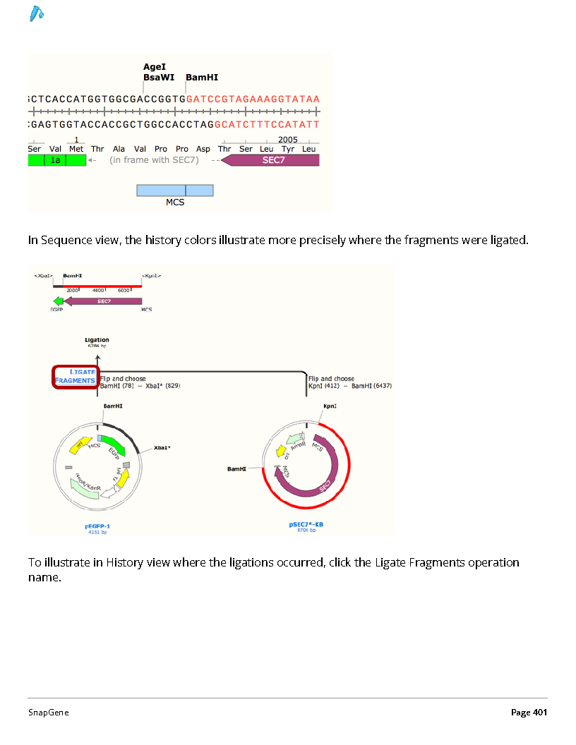 ../_images/SnapGene_页面_401.png