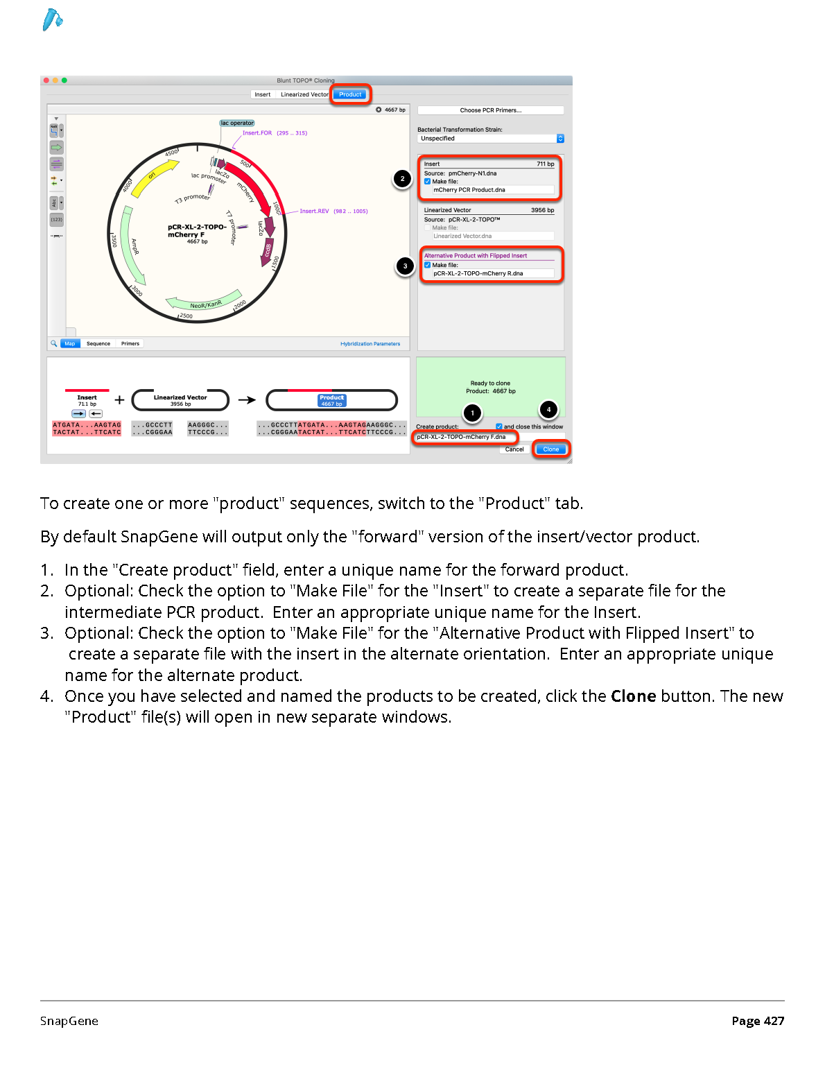 ../_images/SnapGene_页面_427.png