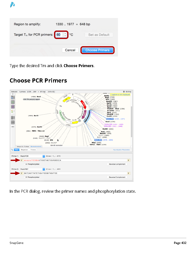 ../_images/SnapGene_页面_432.png