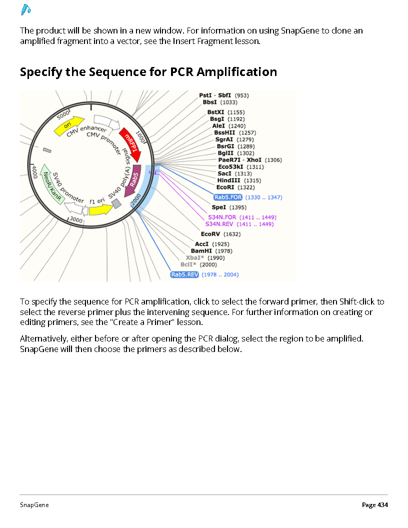 ../_images/SnapGene_页面_434.png