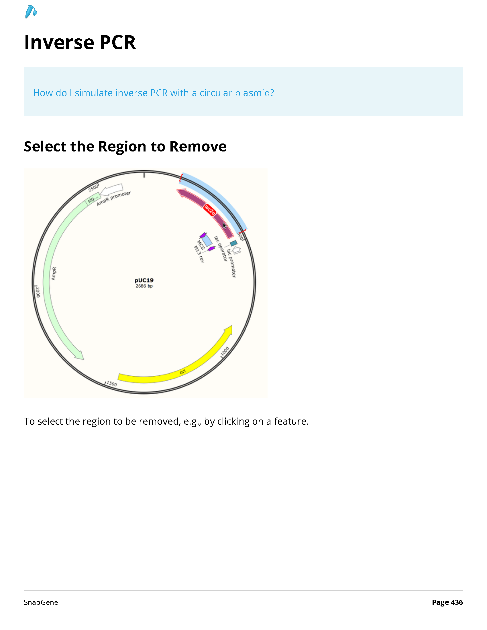 ../_images/SnapGene_页面_436.png
