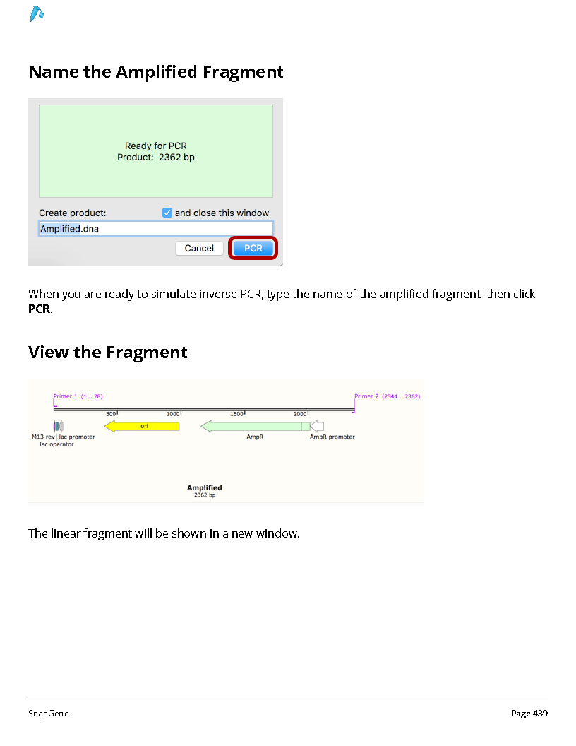 ../_images/SnapGene_页面_439.png