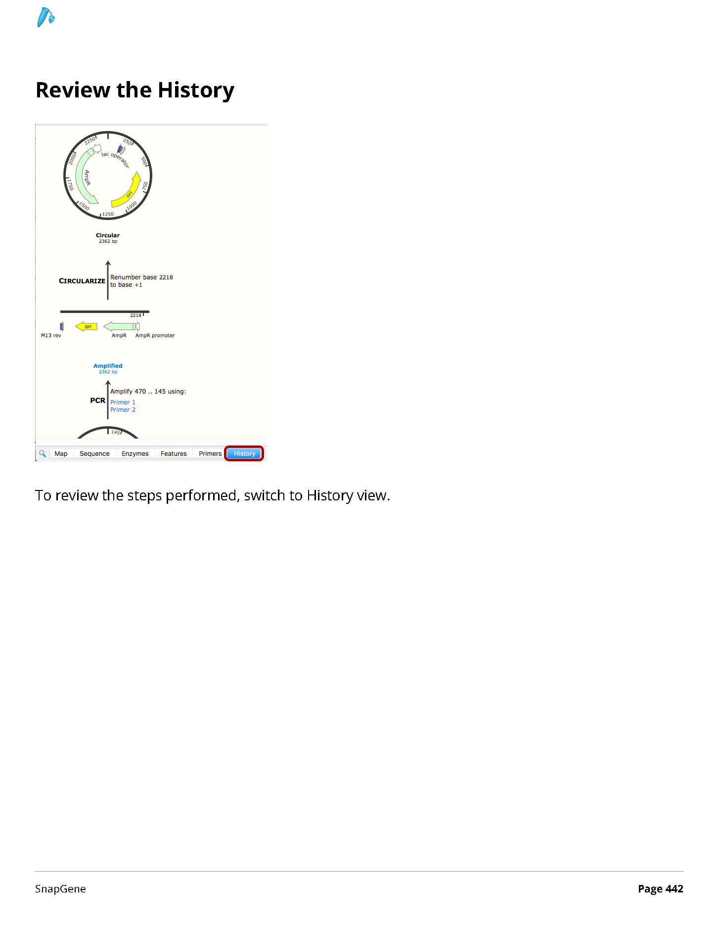 ../_images/SnapGene_页面_442.png