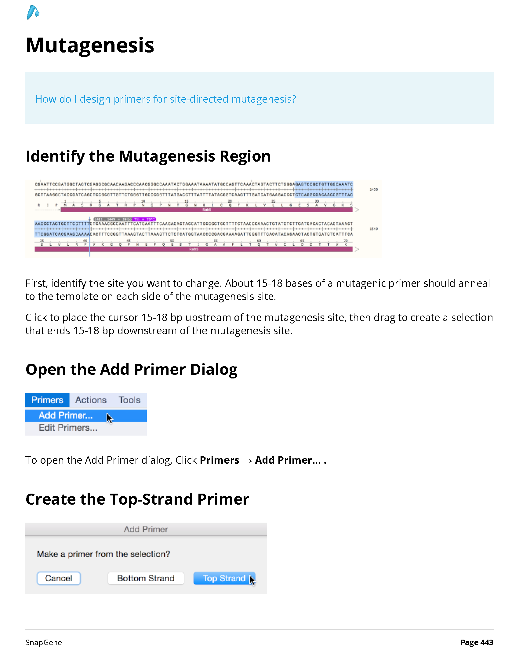 ../_images/SnapGene_页面_443.png