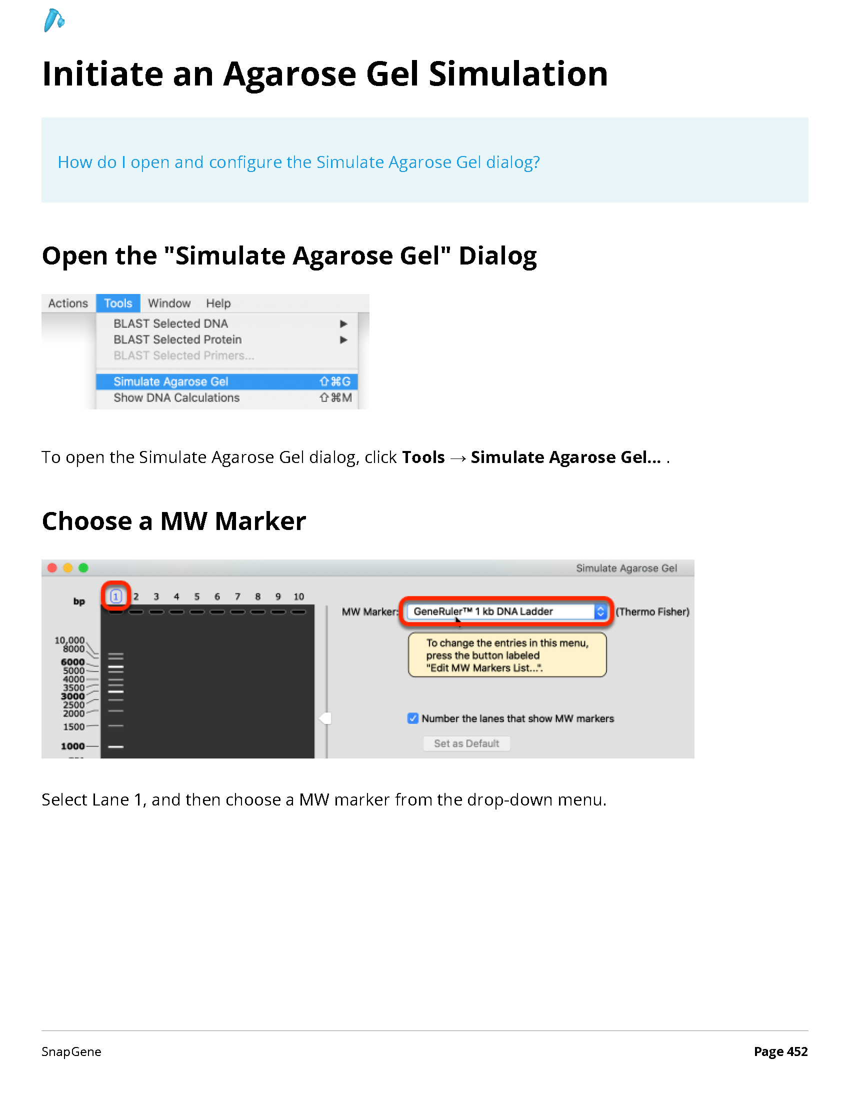 ../_images/SnapGene_页面_452.png
