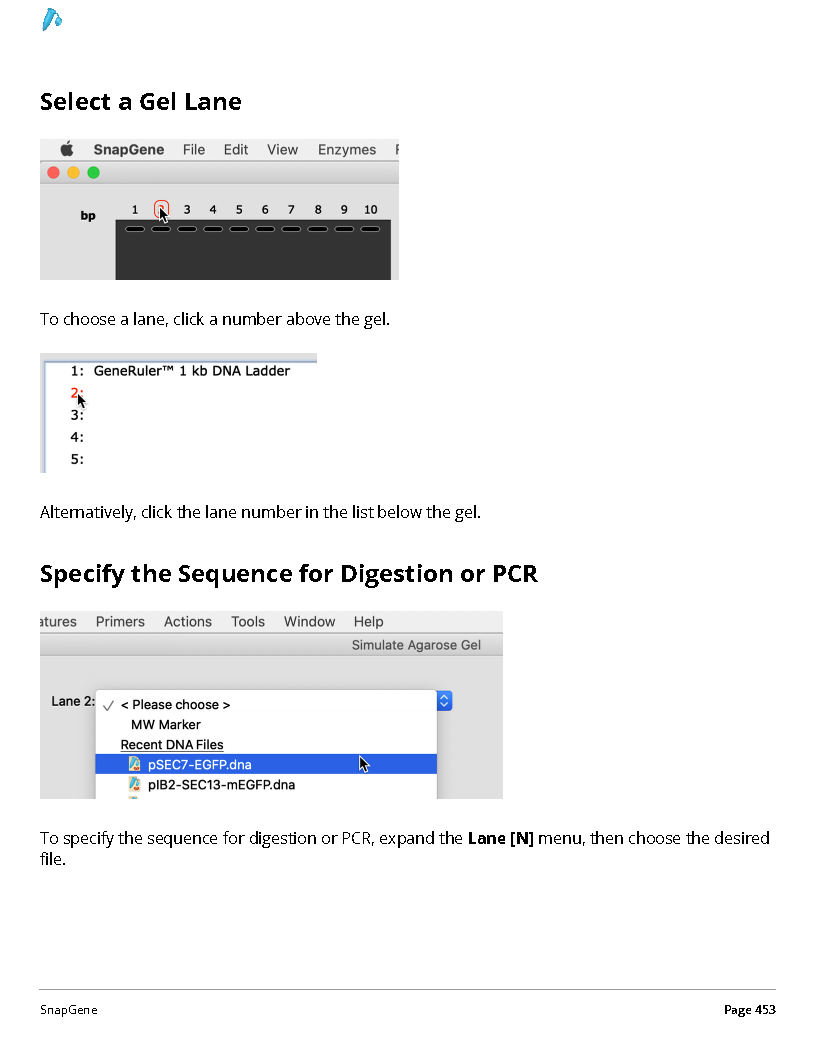 ../_images/SnapGene_页面_453.png