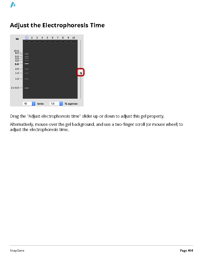 ../_images/SnapGene_页面_464.png