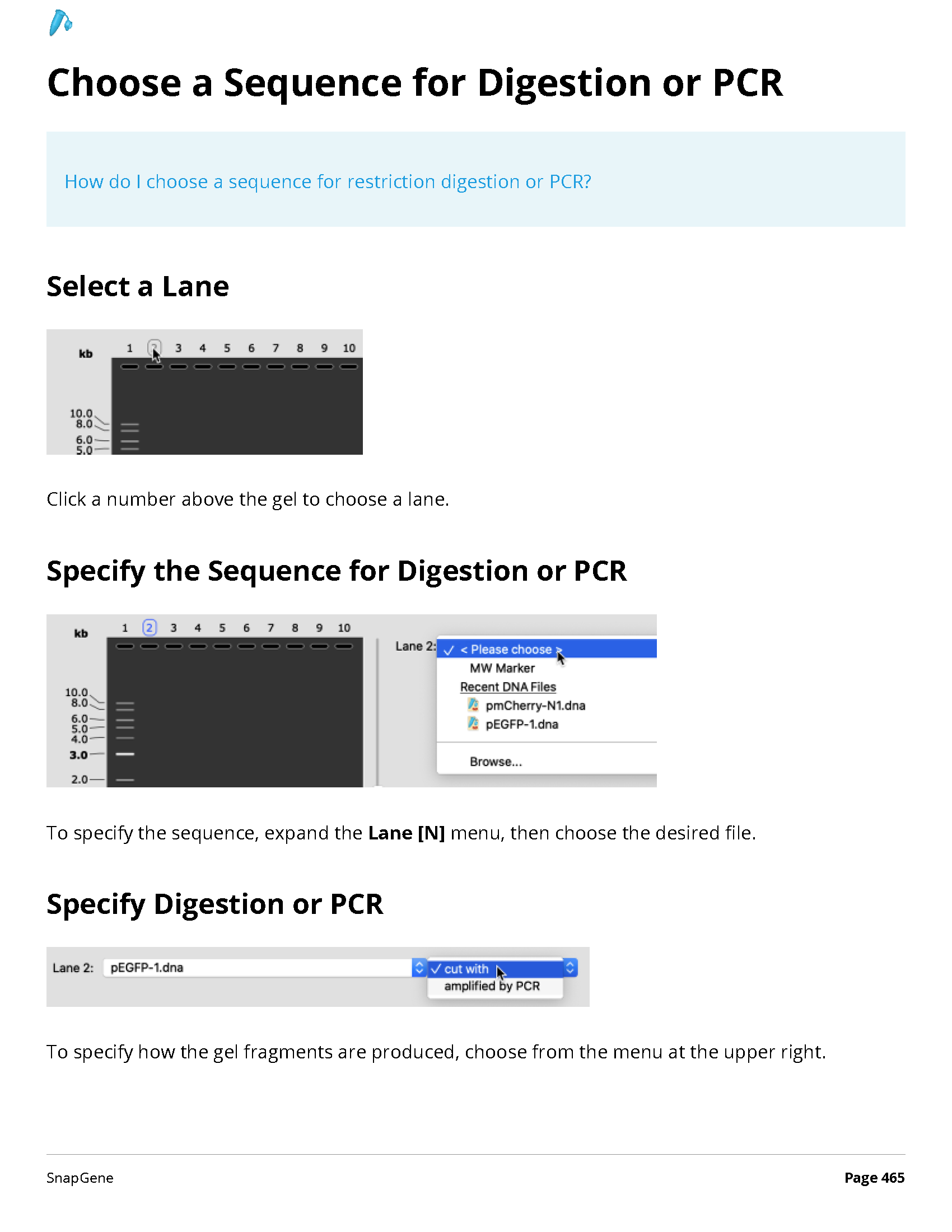 ../_images/SnapGene_页面_465.png