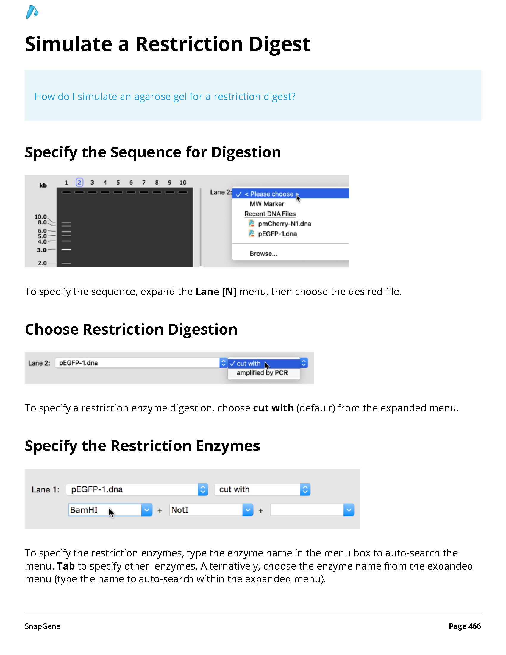 ../_images/SnapGene_页面_466.png