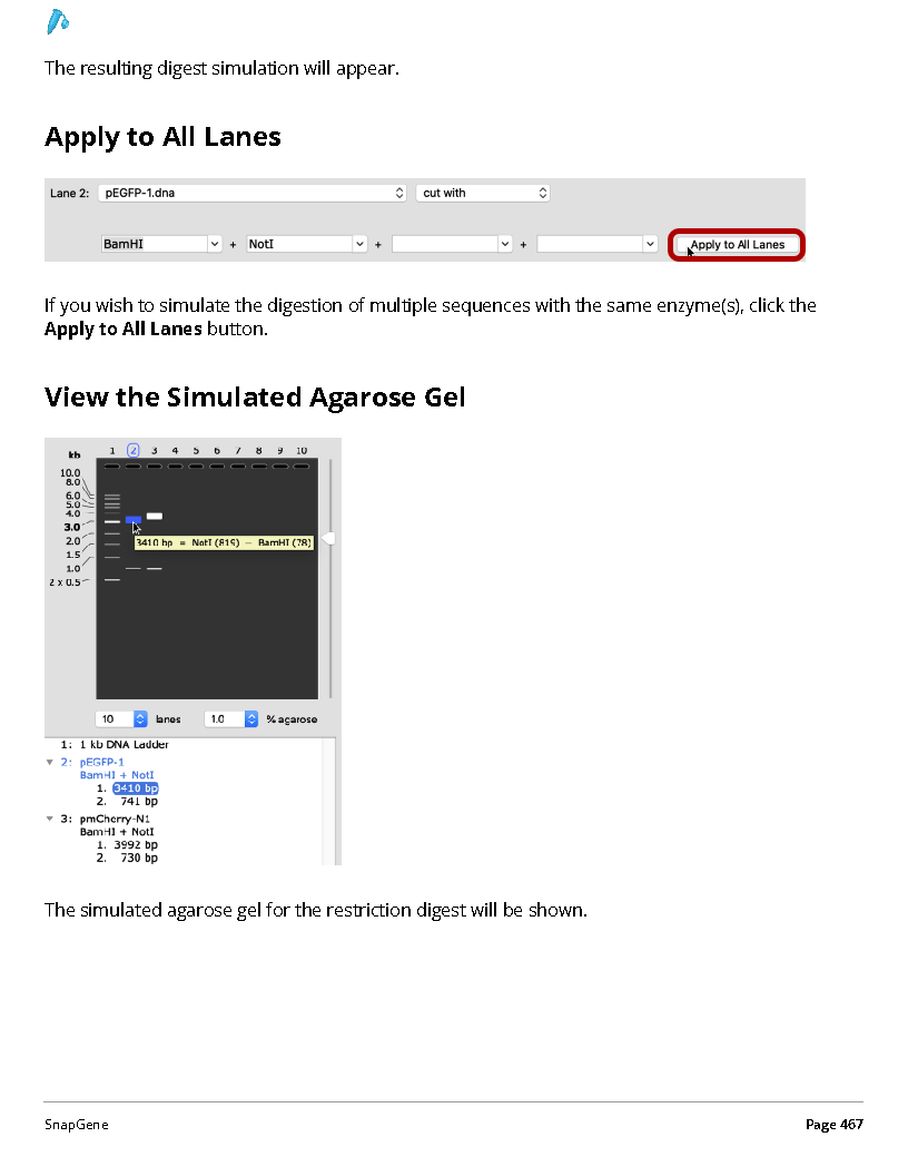 ../_images/SnapGene_页面_467.png