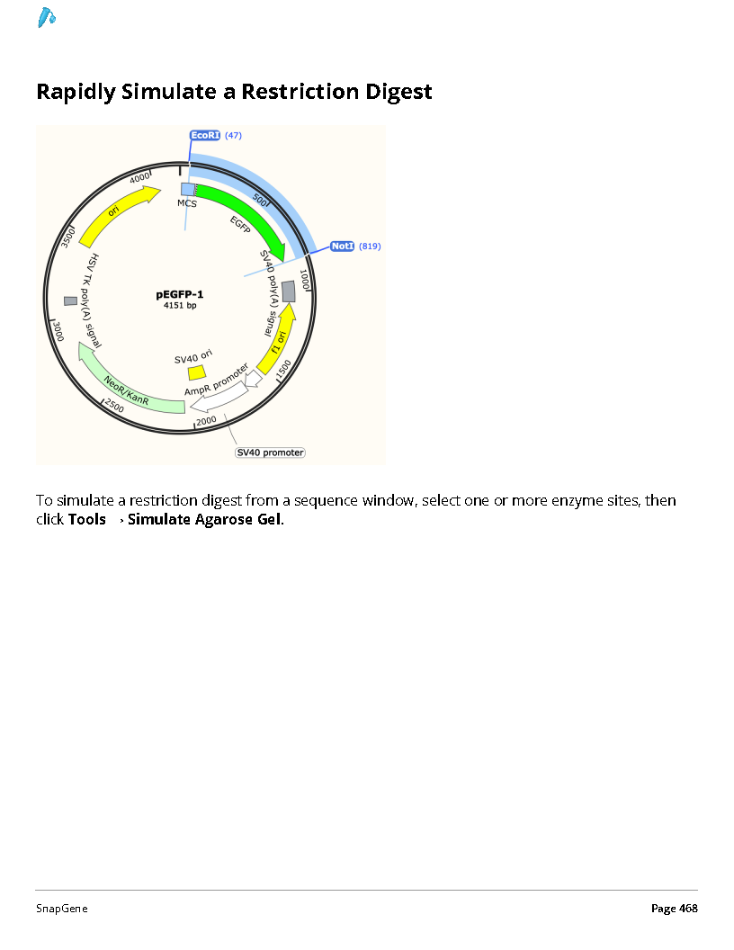 ../_images/SnapGene_页面_468.png