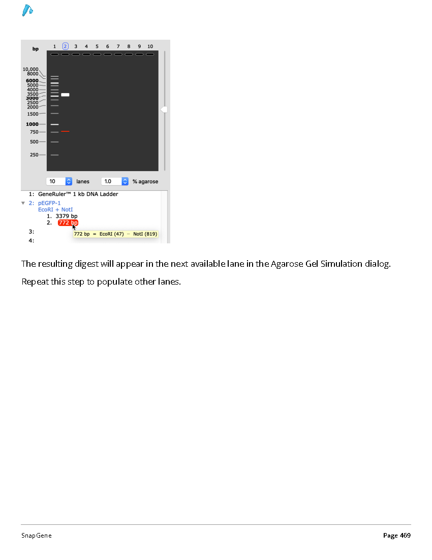 ../_images/SnapGene_页面_469.png