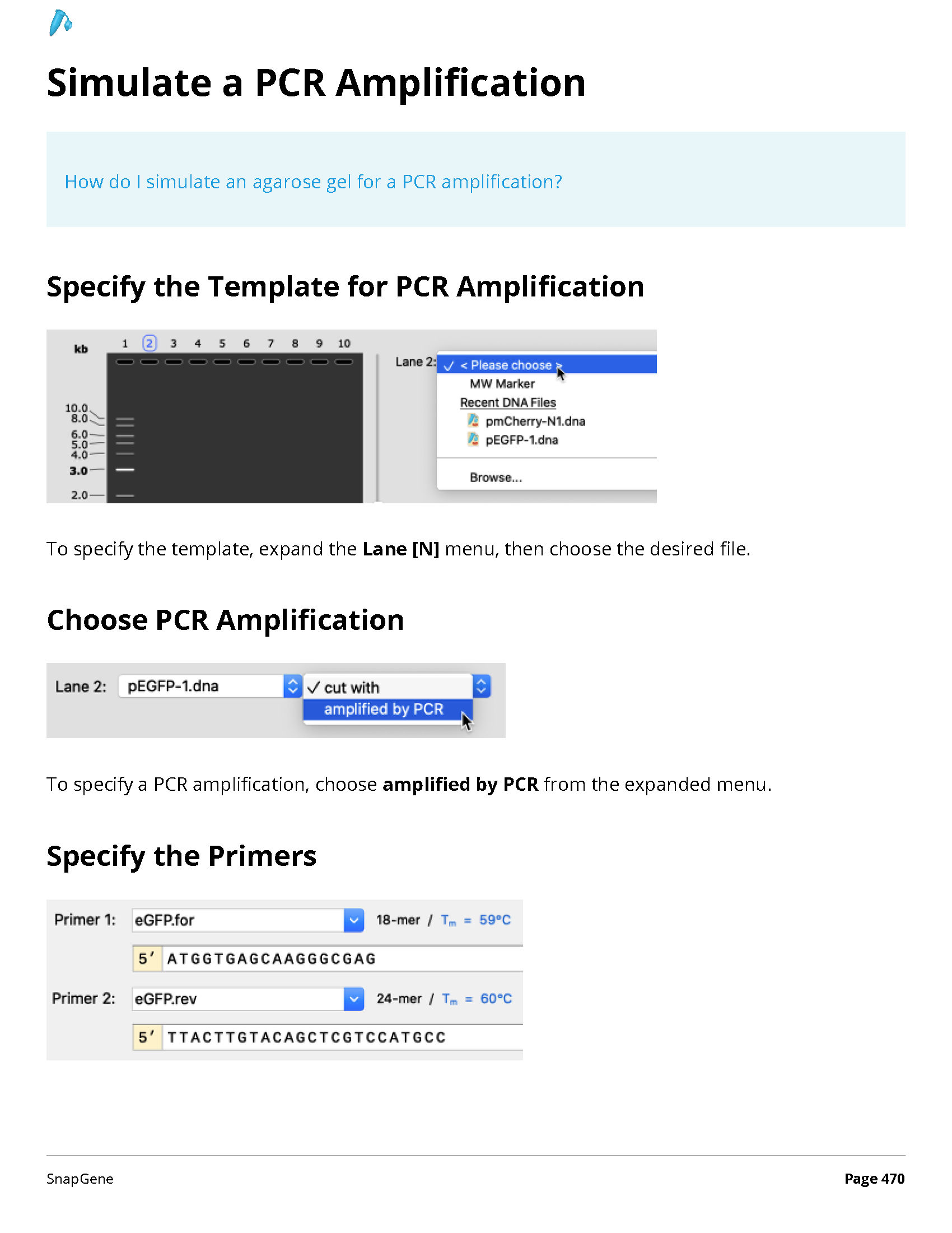 ../_images/SnapGene_页面_470.png