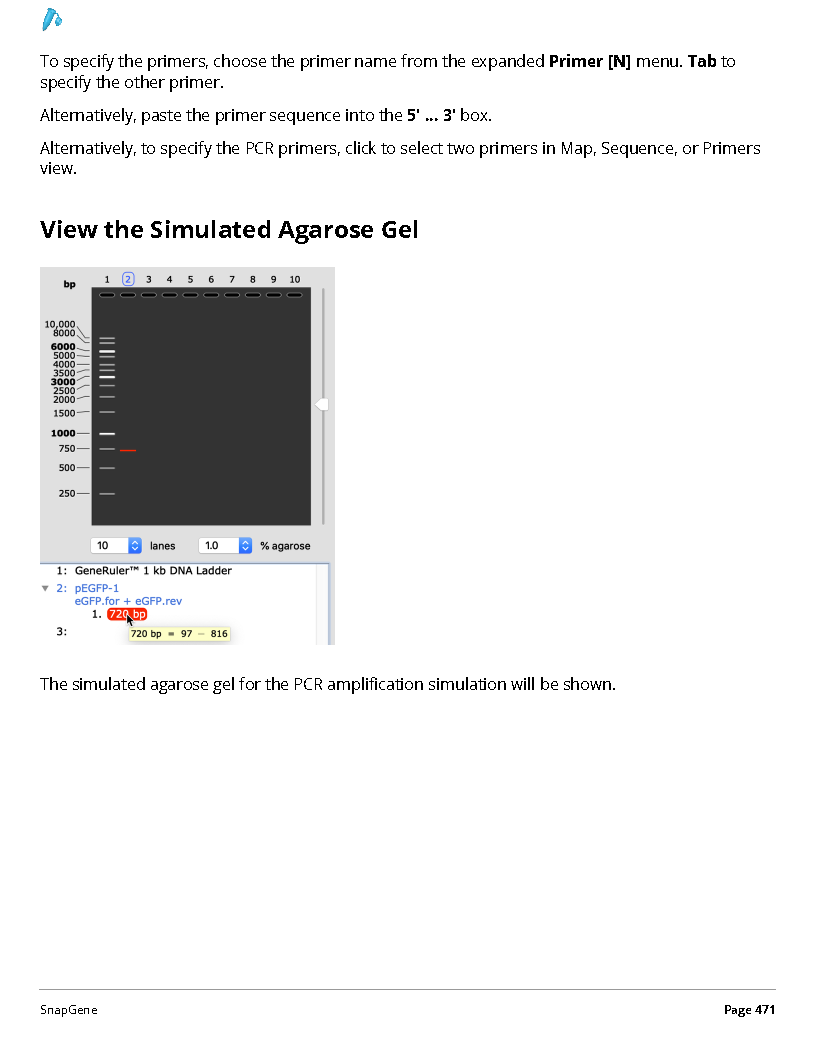 ../_images/SnapGene_页面_471.png