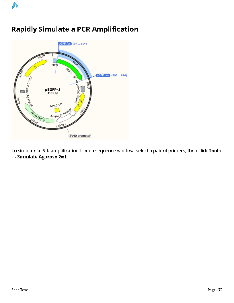 ../_images/SnapGene_页面_472.png