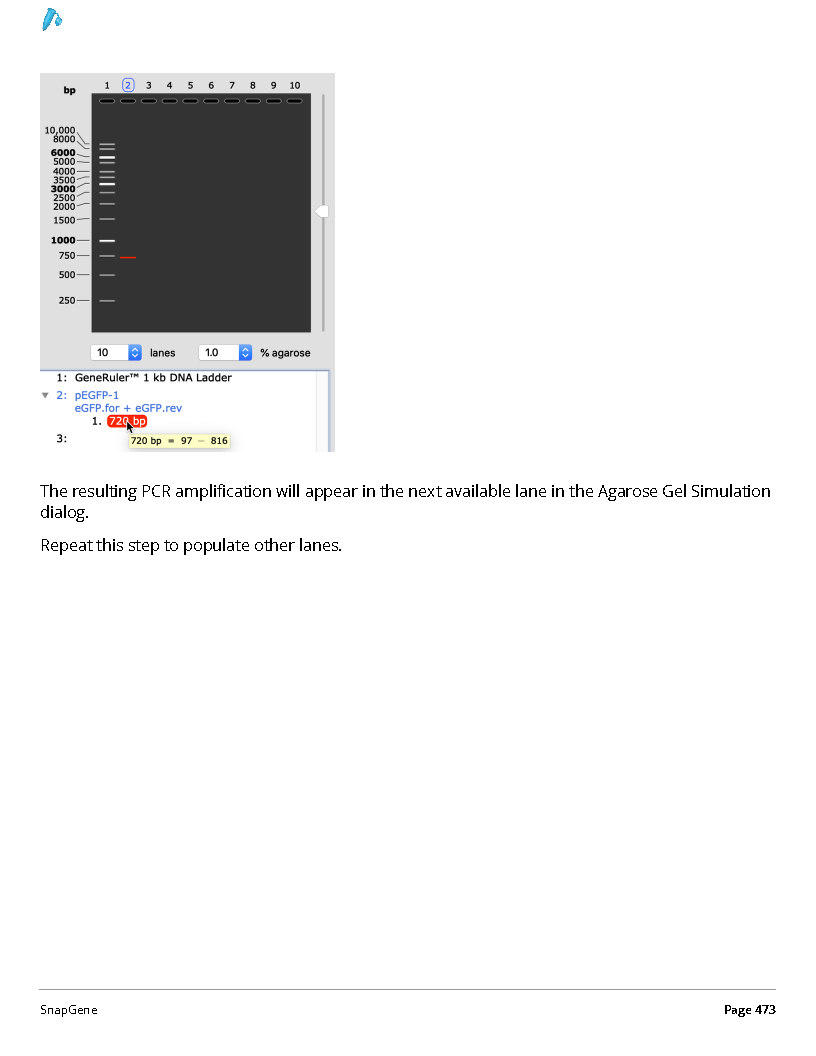../_images/SnapGene_页面_473.png