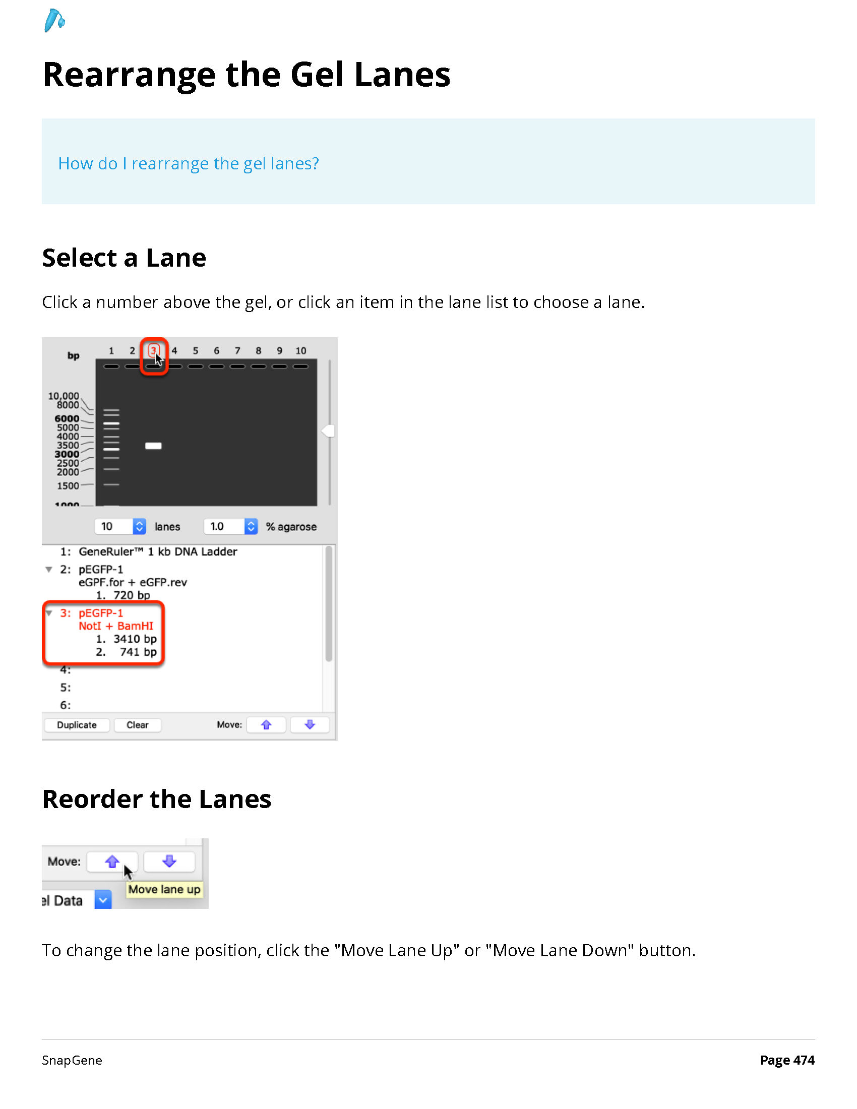 ../_images/SnapGene_页面_474.png