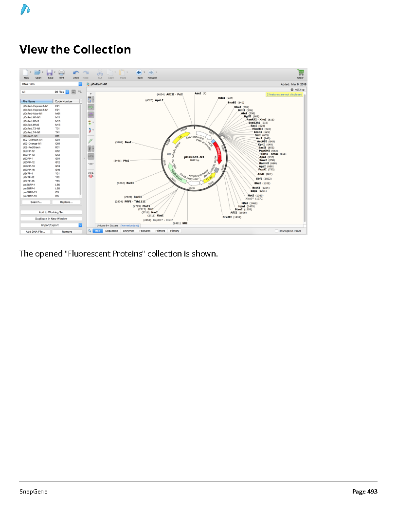 ../_images/SnapGene_页面_493.png