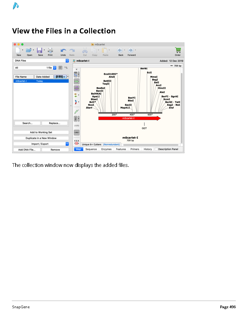 ../_images/SnapGene_页面_496.png