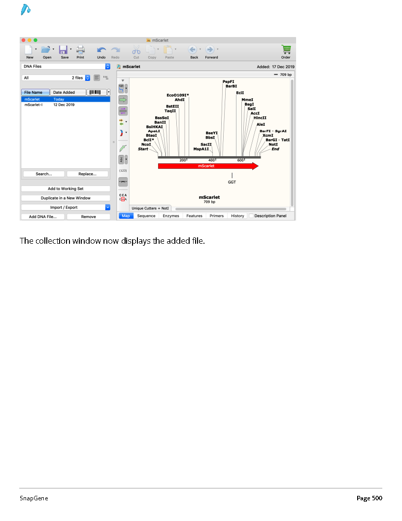 ../_images/SnapGene_页面_500.png
