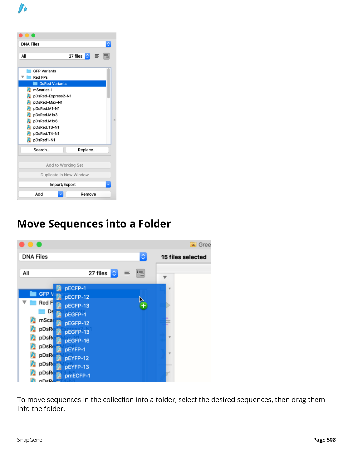 ../_images/SnapGene_页面_508.png