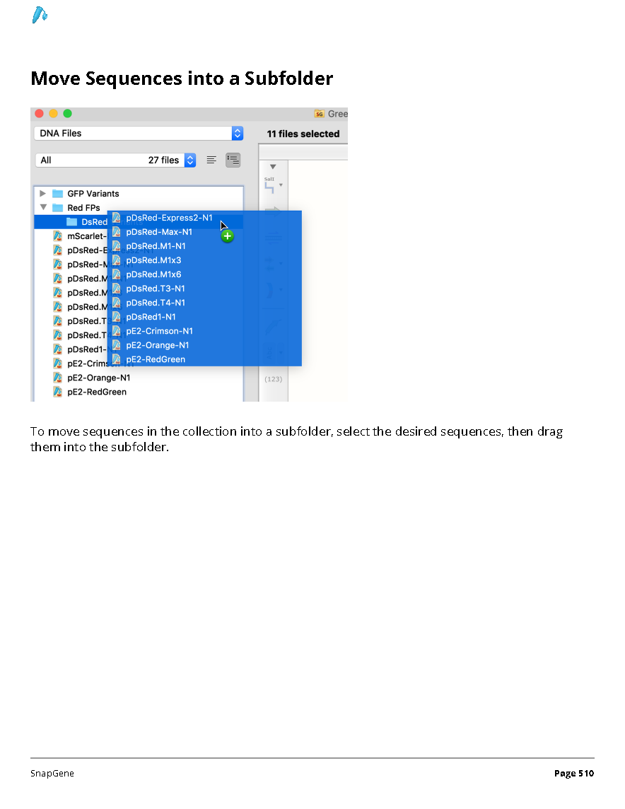../_images/SnapGene_页面_510.png
