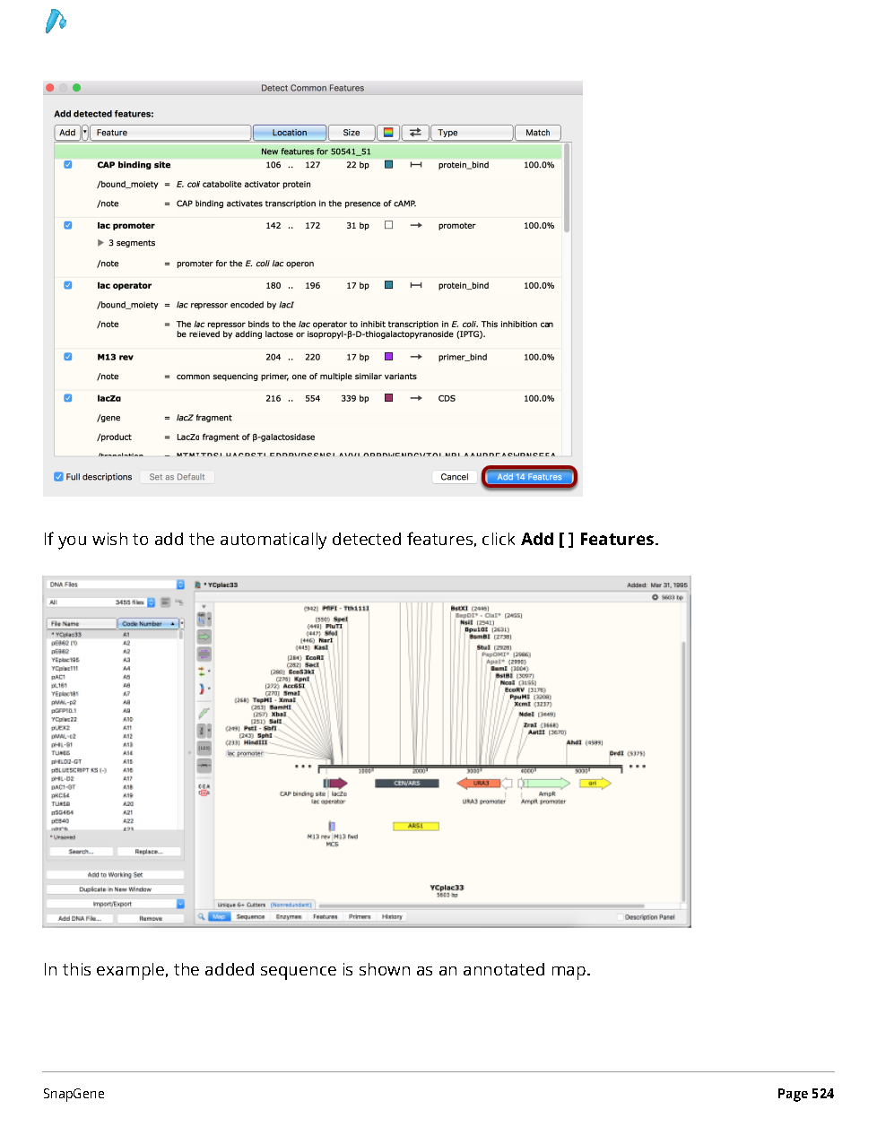 ../_images/SnapGene_页面_524.png