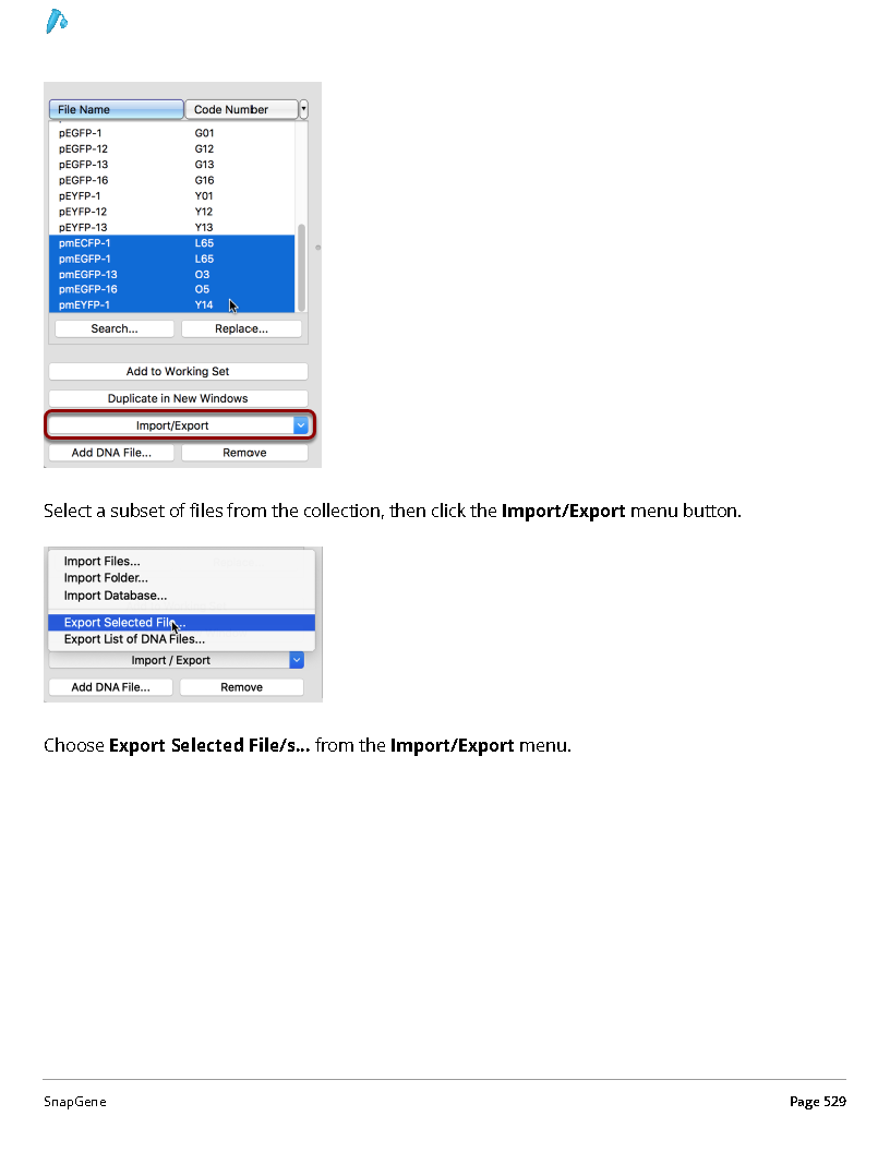 ../_images/SnapGene_页面_529.png