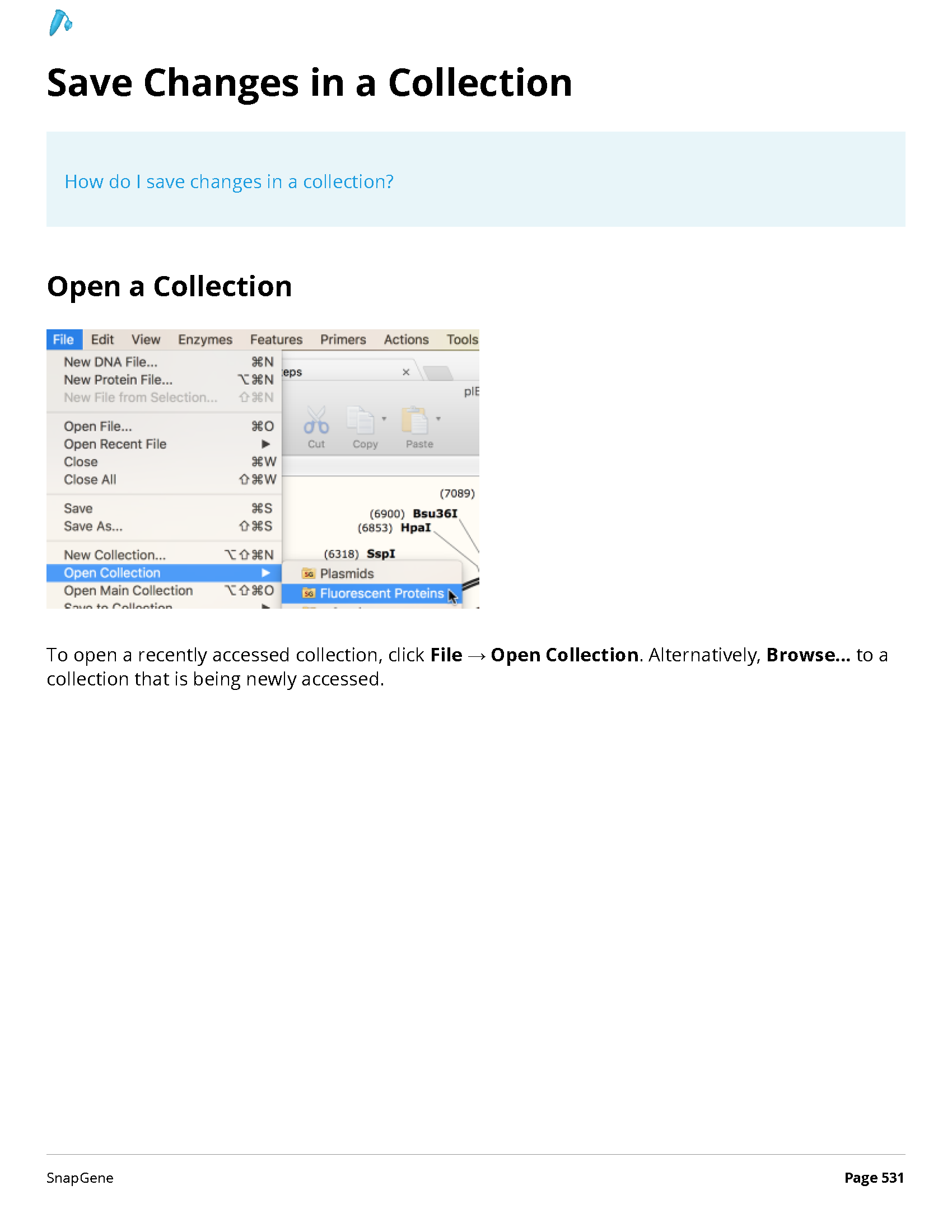 ../_images/SnapGene_页面_531.png