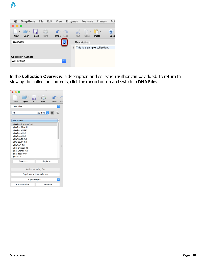 ../_images/SnapGene_页面_540.png