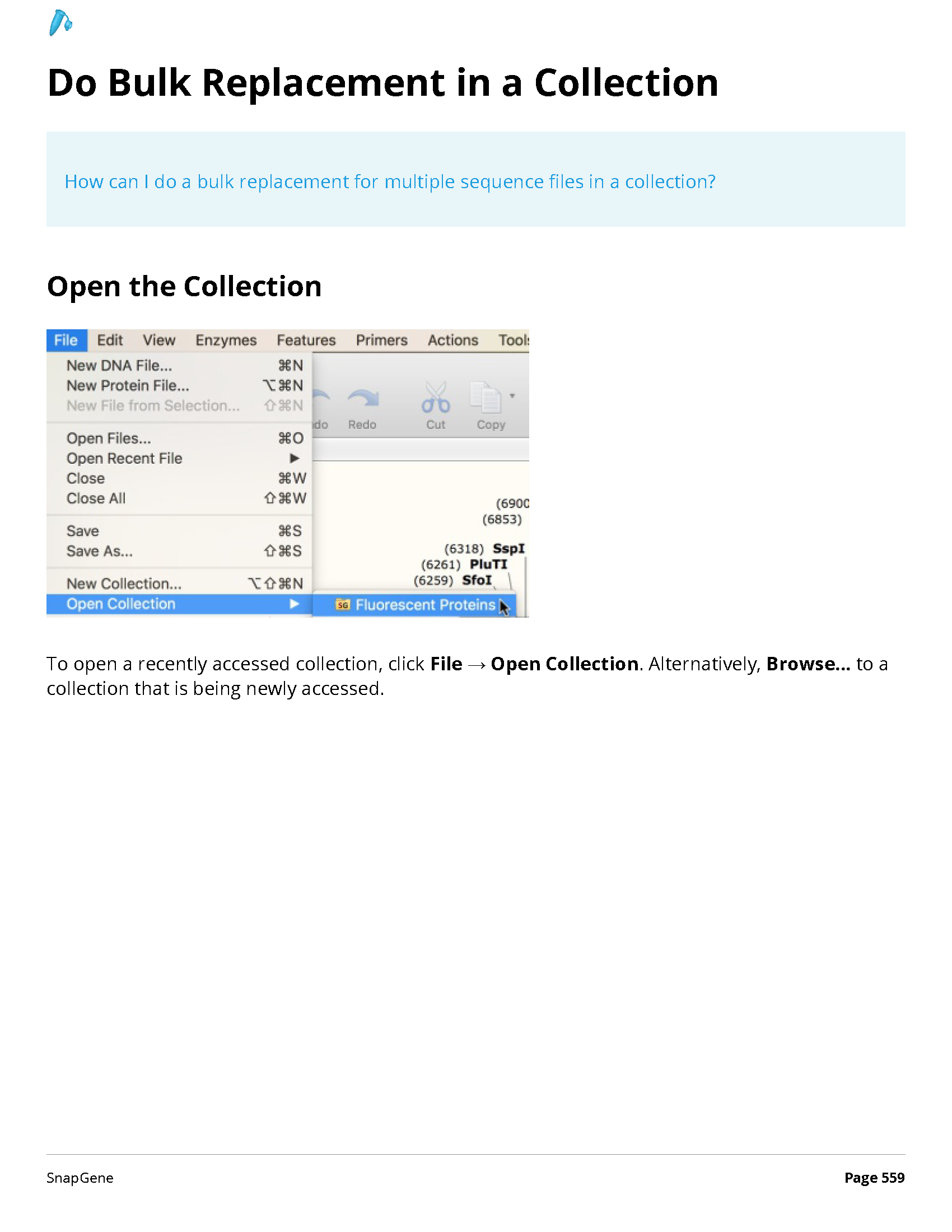 ../_images/SnapGene_页面_559.png