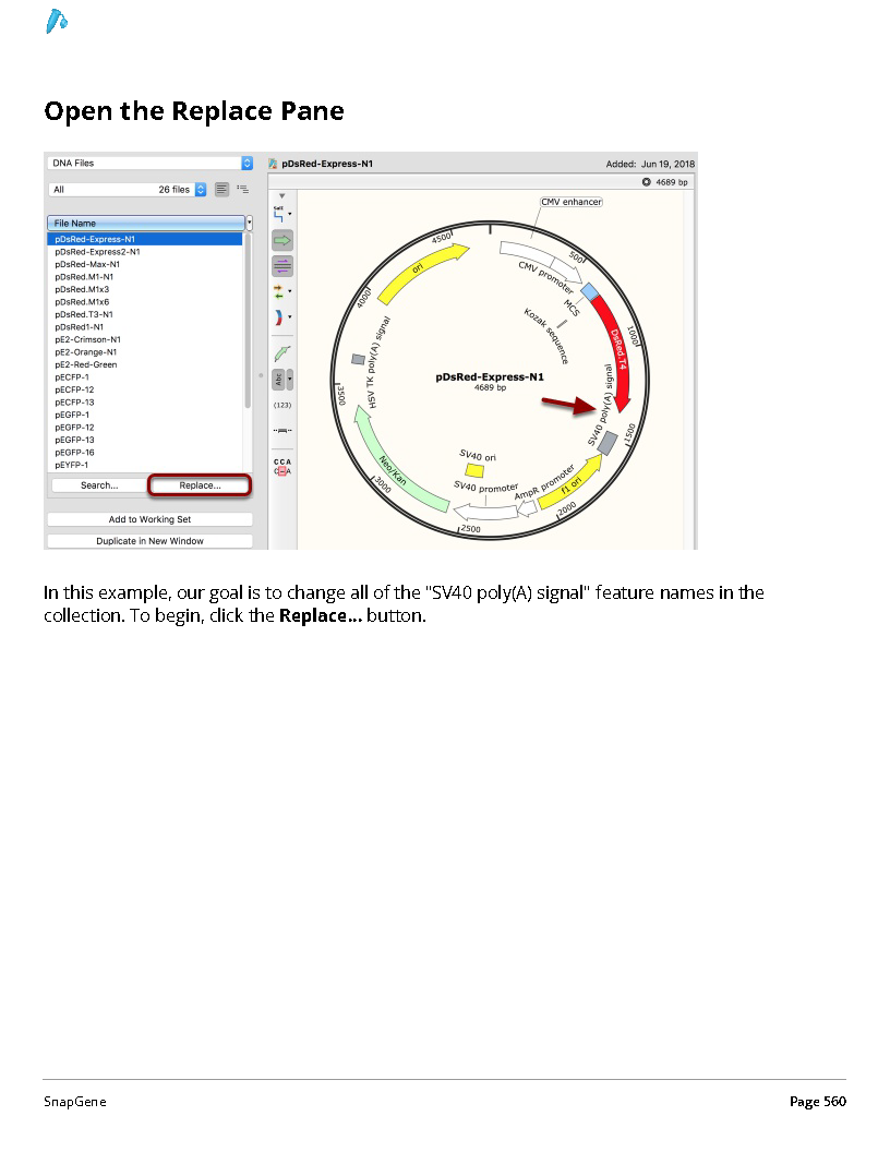 ../_images/SnapGene_页面_560.png