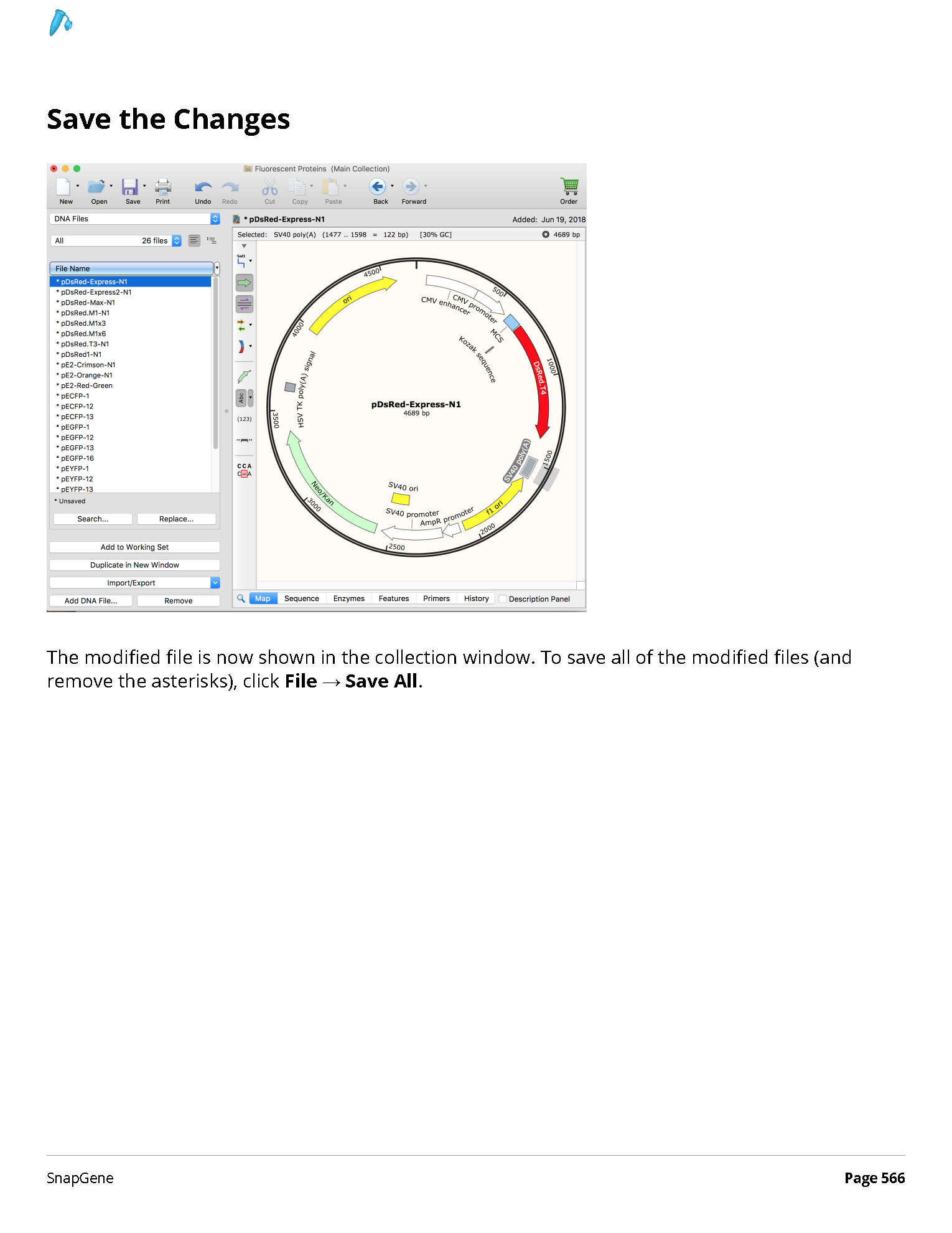../_images/SnapGene_页面_566.png