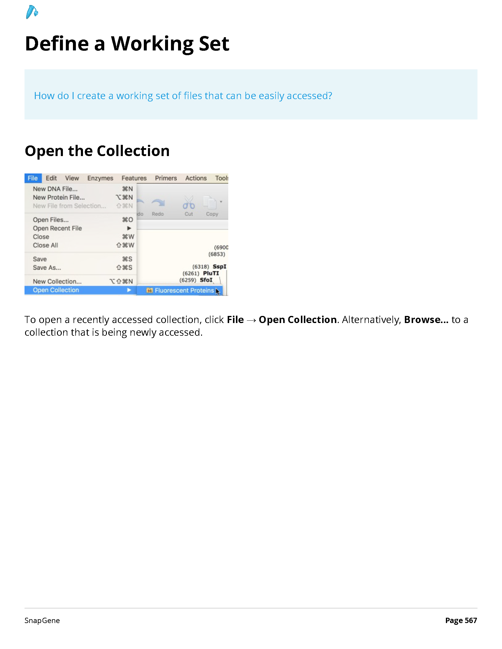 ../_images/SnapGene_页面_567.png