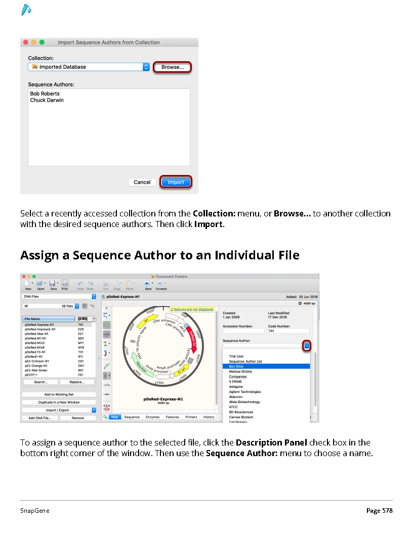 ../_images/SnapGene_页面_578.png