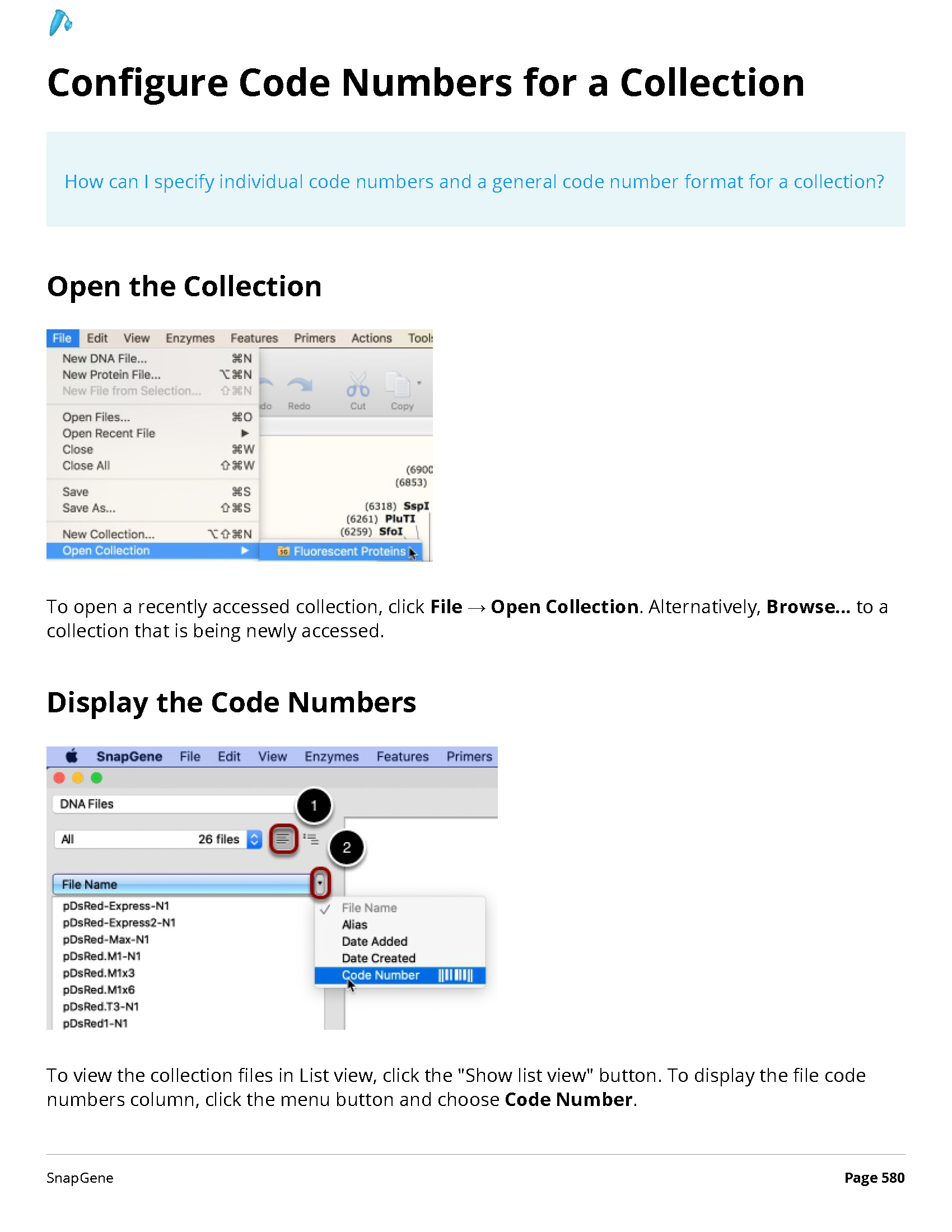 ../_images/SnapGene_页面_580.png