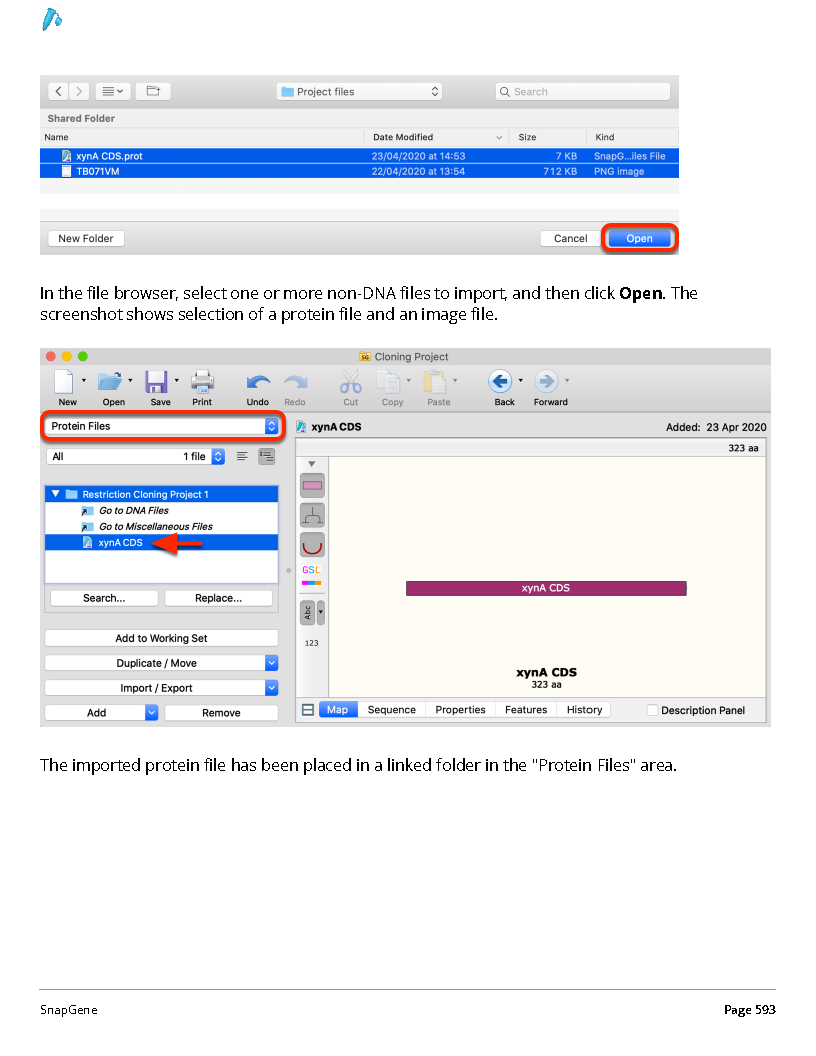 ../_images/SnapGene_页面_593.png
