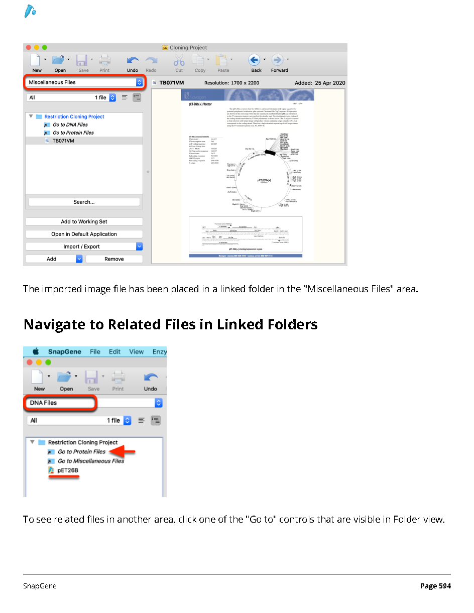 ../_images/SnapGene_页面_594.png