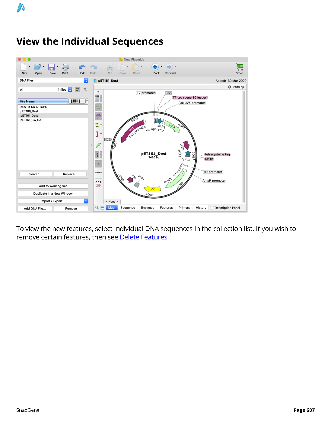 ../_images/SnapGene_页面_607.png