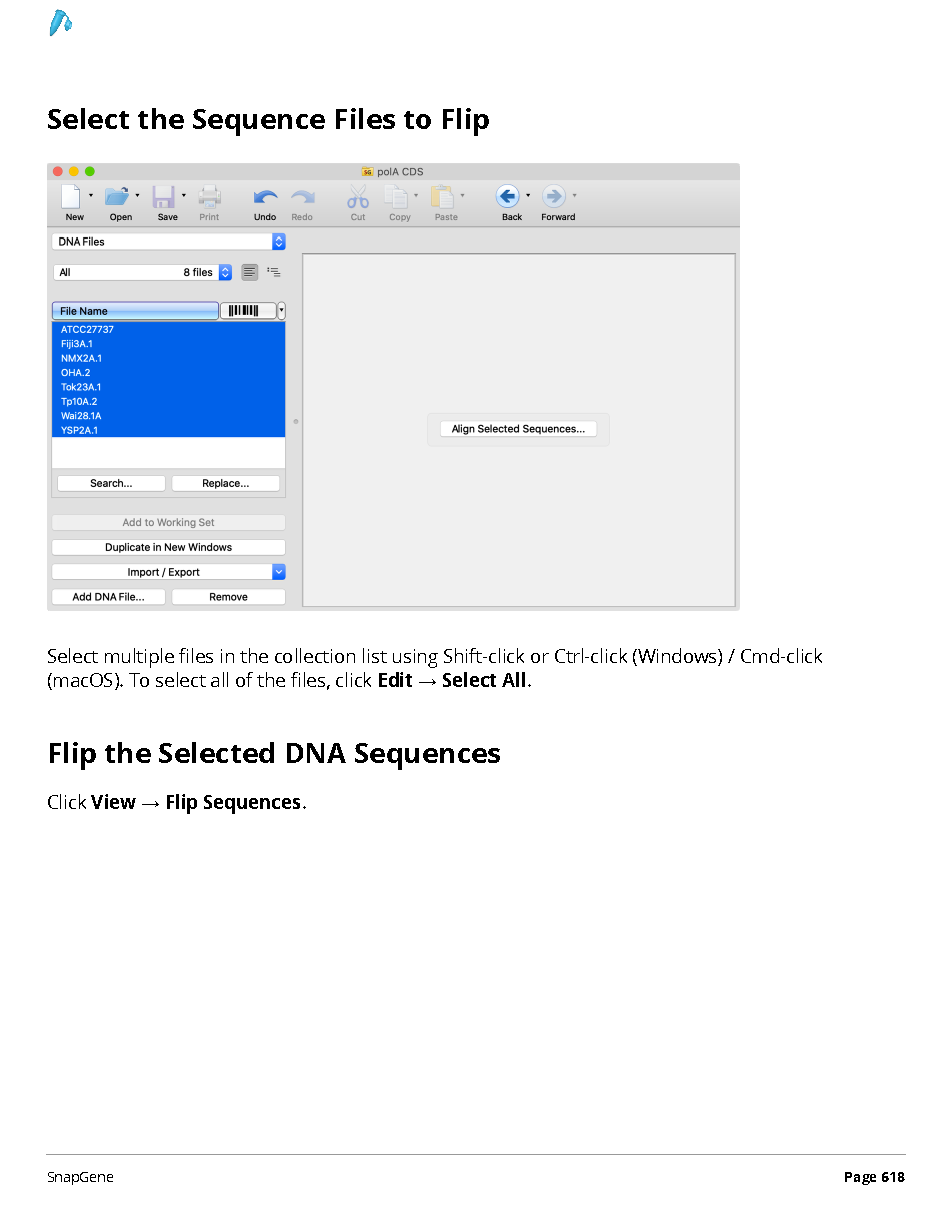 ../_images/SnapGene_页面_618.png